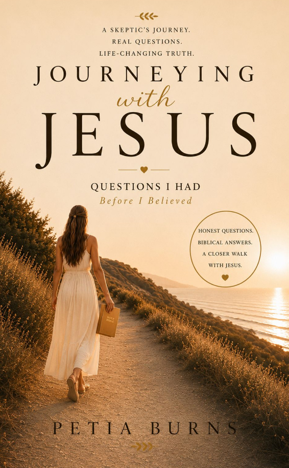 Journeying with Jesus: Questions I Had Before I Believed book cover